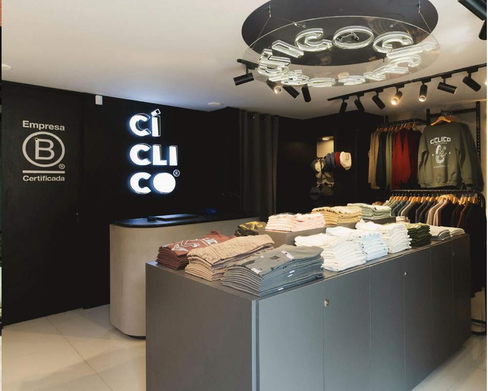 Proyecto Cíclico